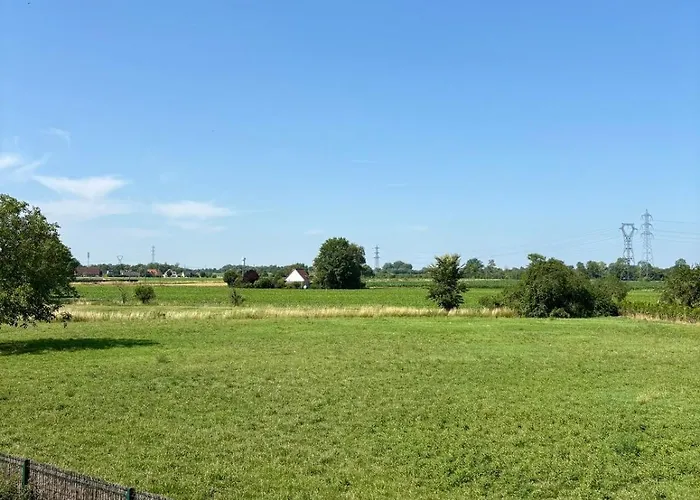 Le Bleuet Tressin